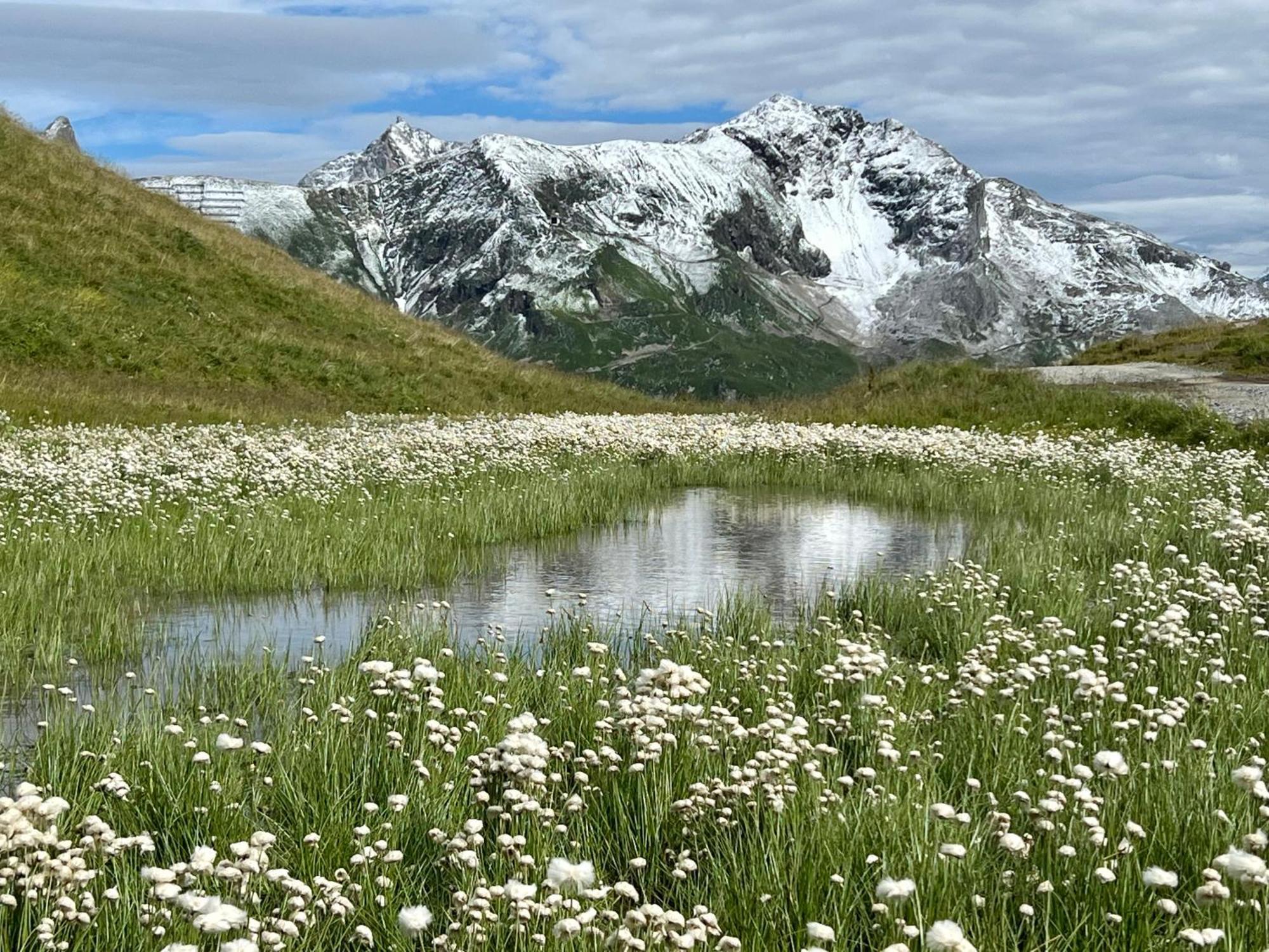 Haus Schrofenstein Bed & Breakfast Lech am Arlberg Eksteriør bilde